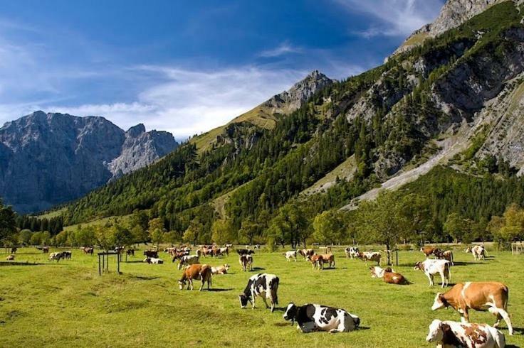 شقة Alpenfreund ميتنوالد المظهر الخارجي الصورة